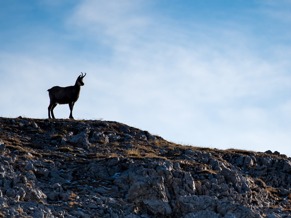 Testimonial Graubünden Ferien