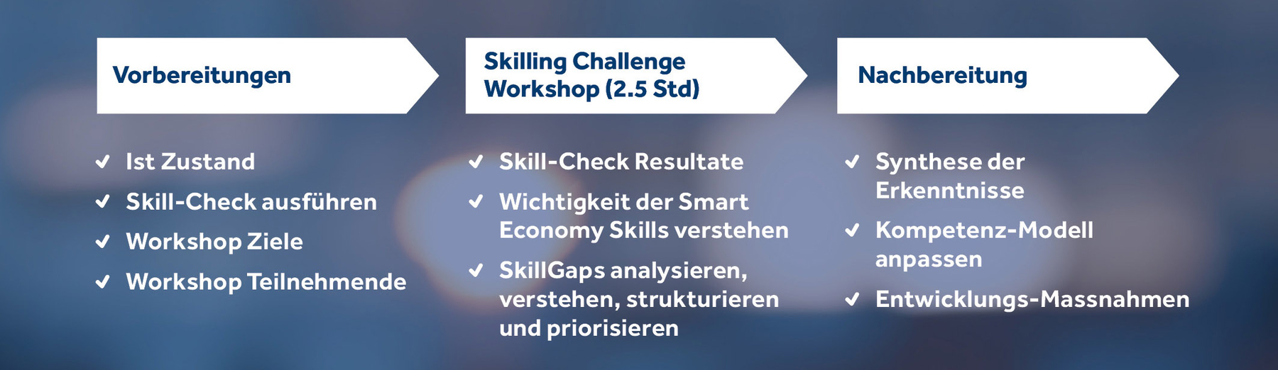 Ziele Silling Challenge