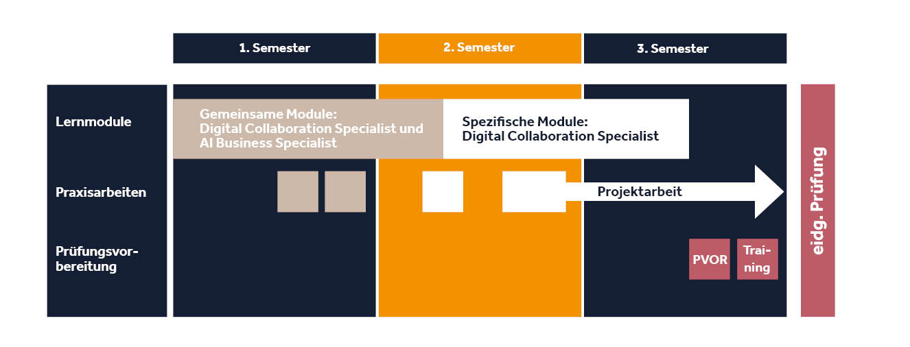 DCS Aufbau